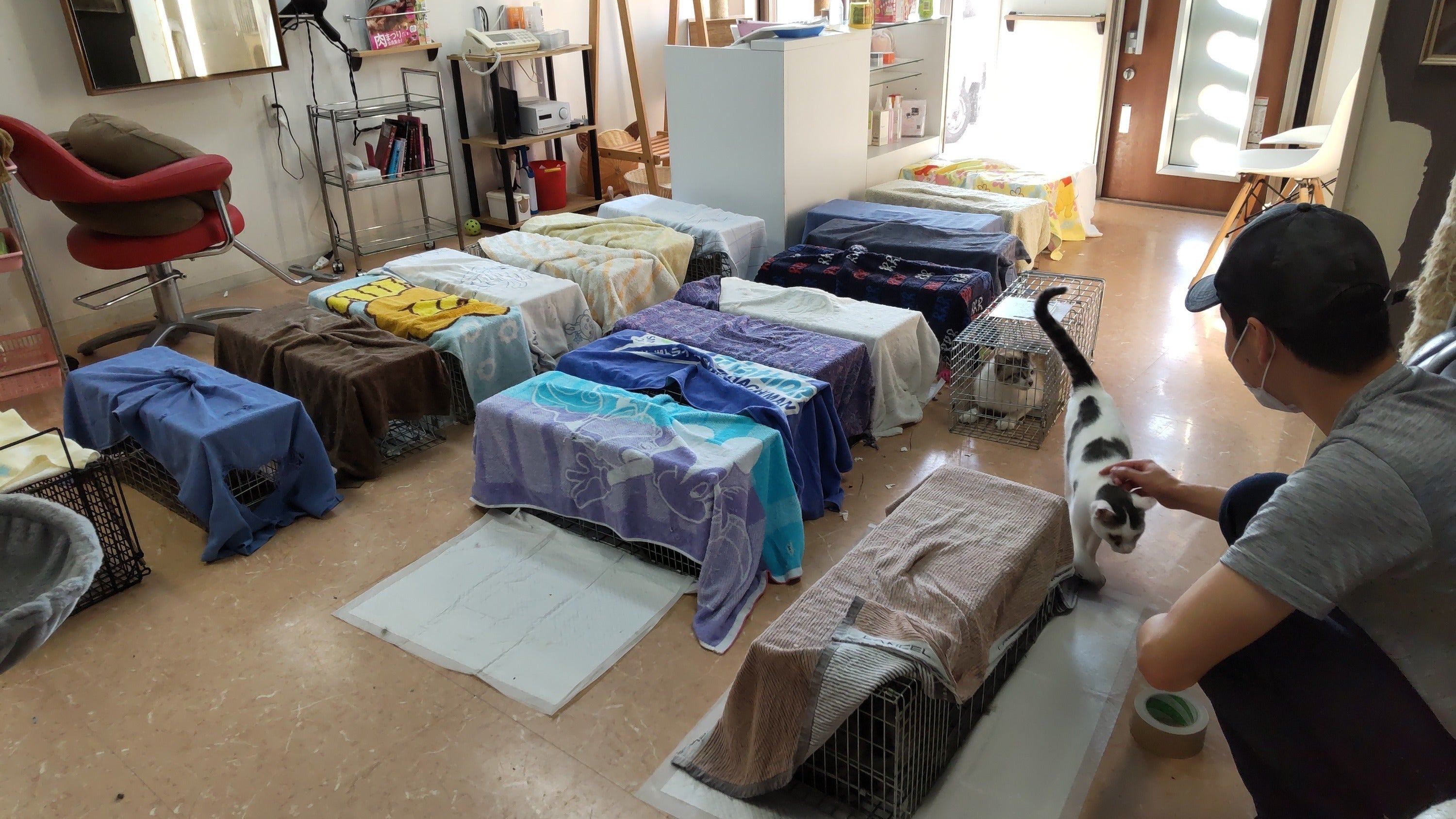 3番目のメイン画像