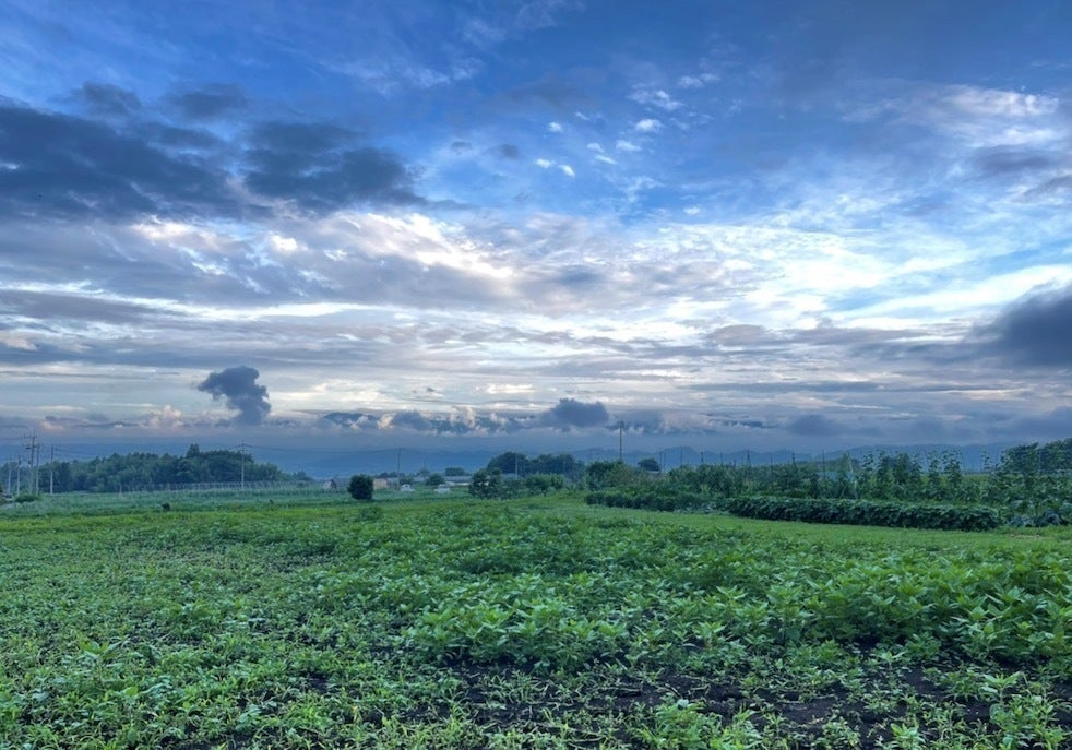 4番目のメイン画像