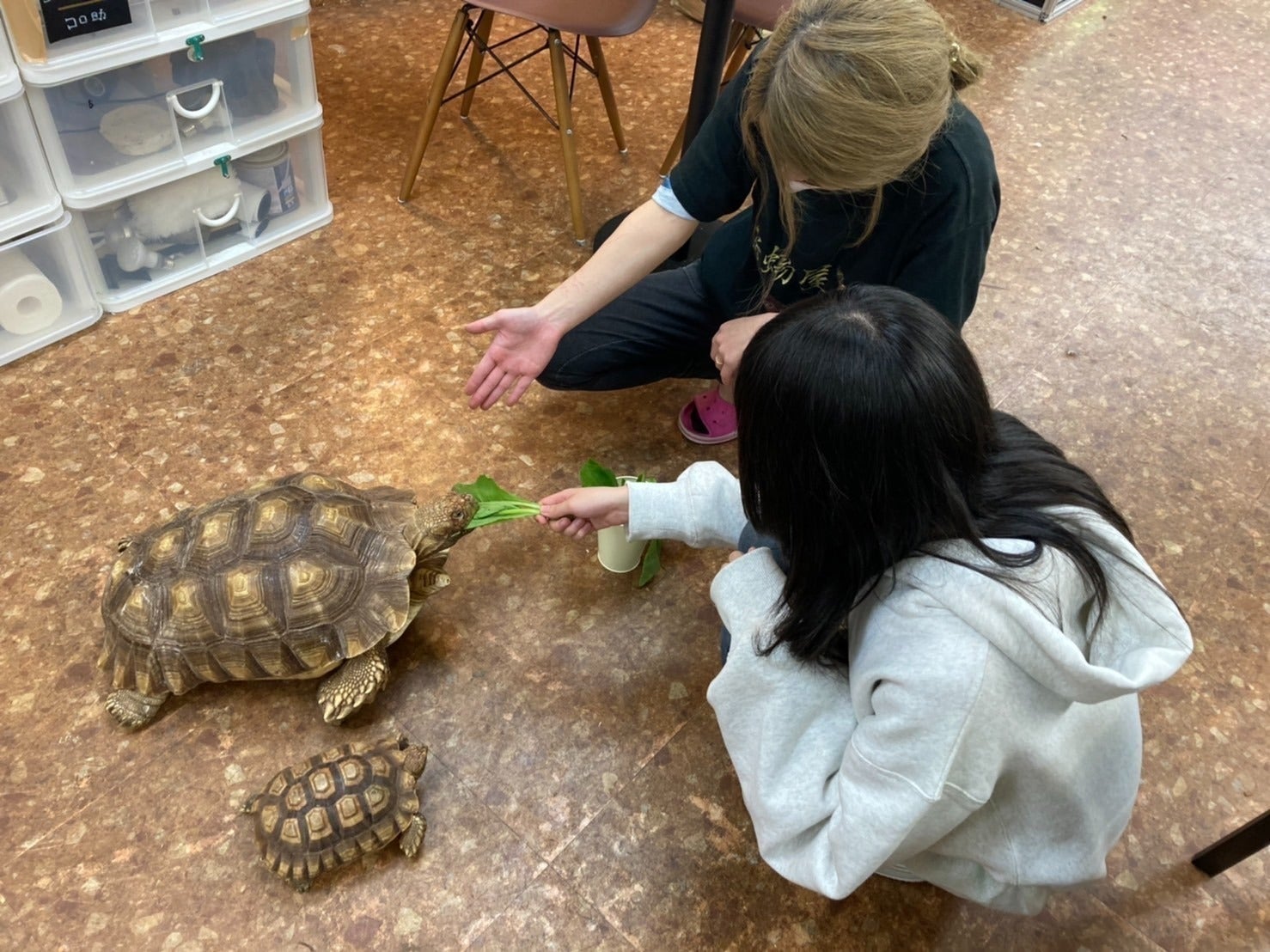 2番目のメイン画像