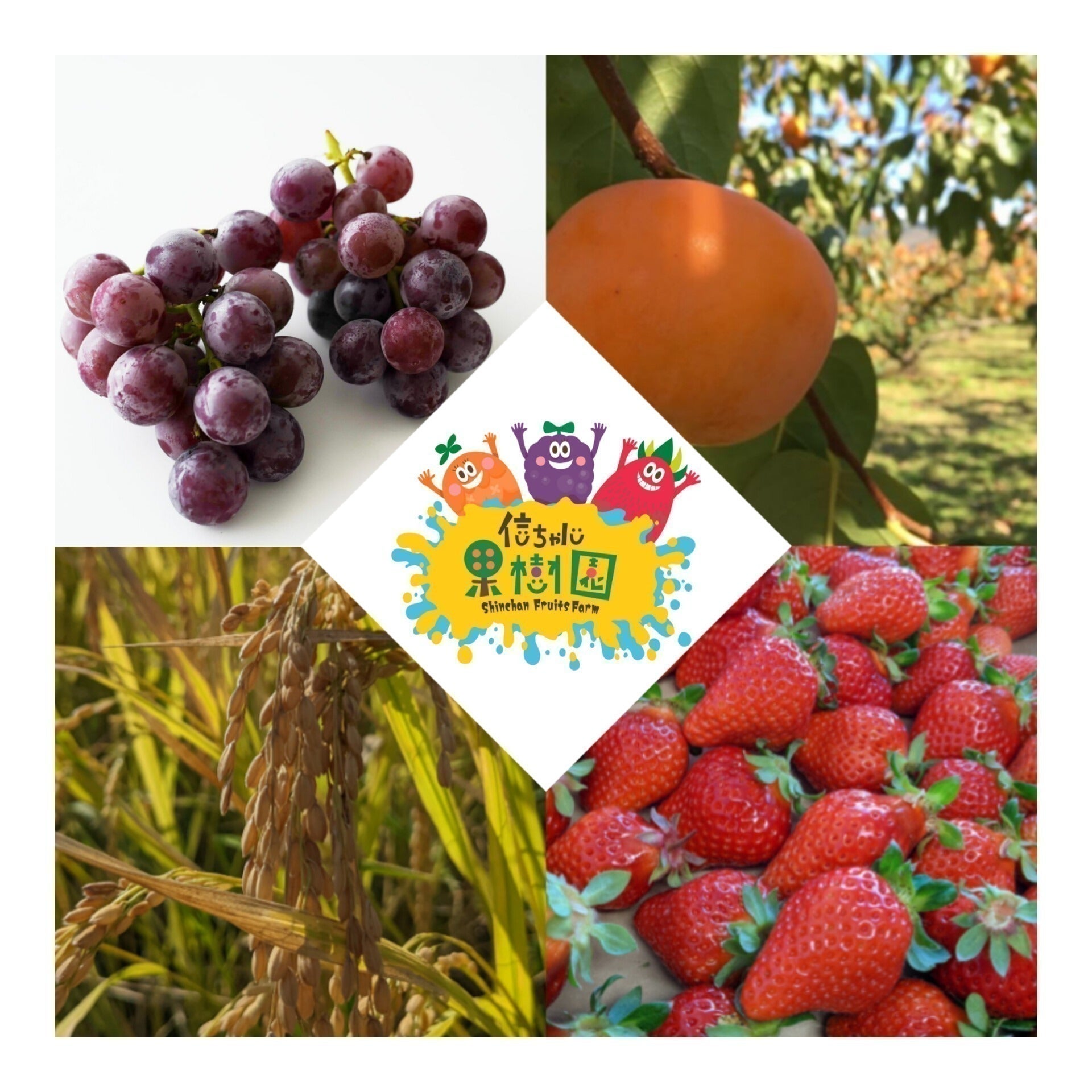 5番目のメイン画像