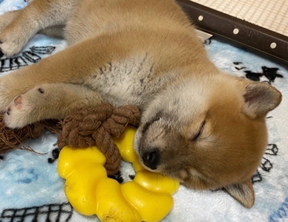 4番目のメイン画像