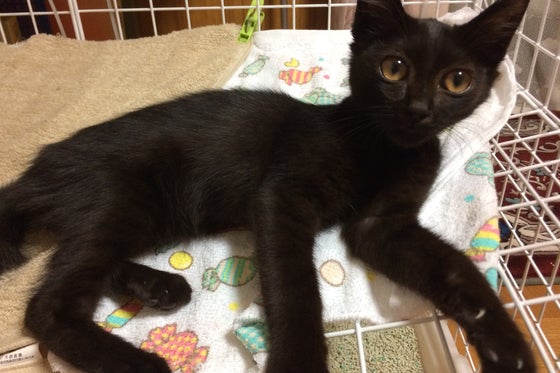 1番目のメイン画像