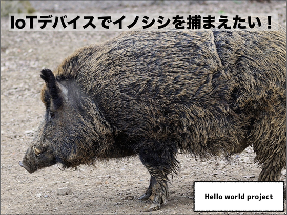 1番目のメイン画像