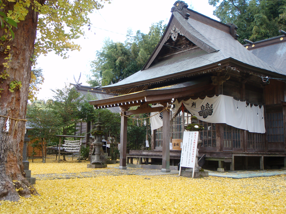 1番目のメイン画像