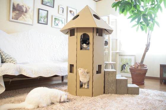 1番目のメイン画像