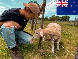 プロフィール画像