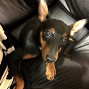 プロフィール画像