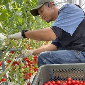 プロフィール画像