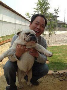 プロフィール画像