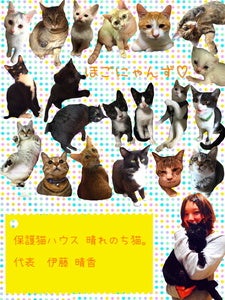 プロフィール画像